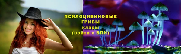 ALPHA PVP Баксан