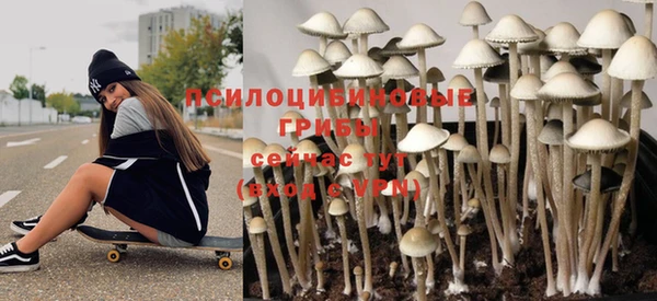 ALPHA PVP Баксан